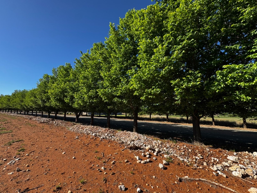 0 Bedroom Property for Sale in Magersfontein Memorial Golf Estate Northern Cape